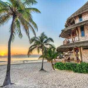 Alaya By Ahau Collection 4* Tulum